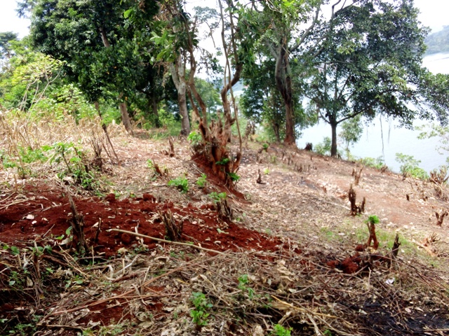 Permanent Home Land under Fundraising Journey with Us