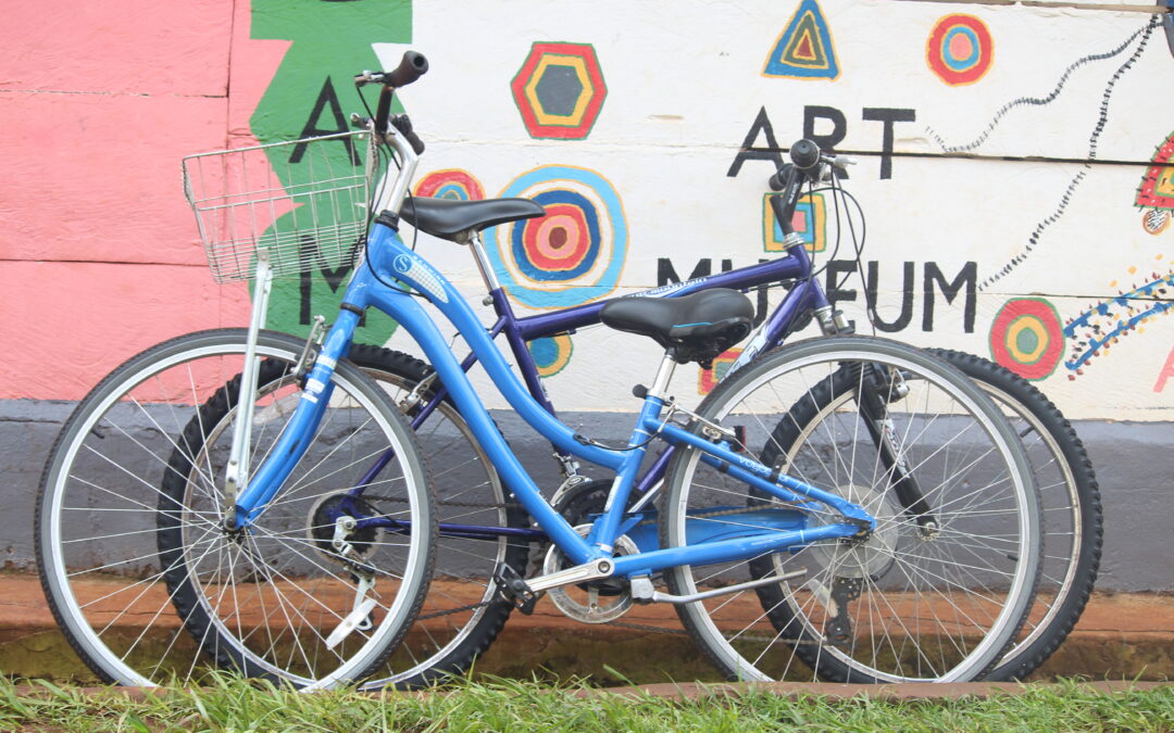 In Kind Contributions